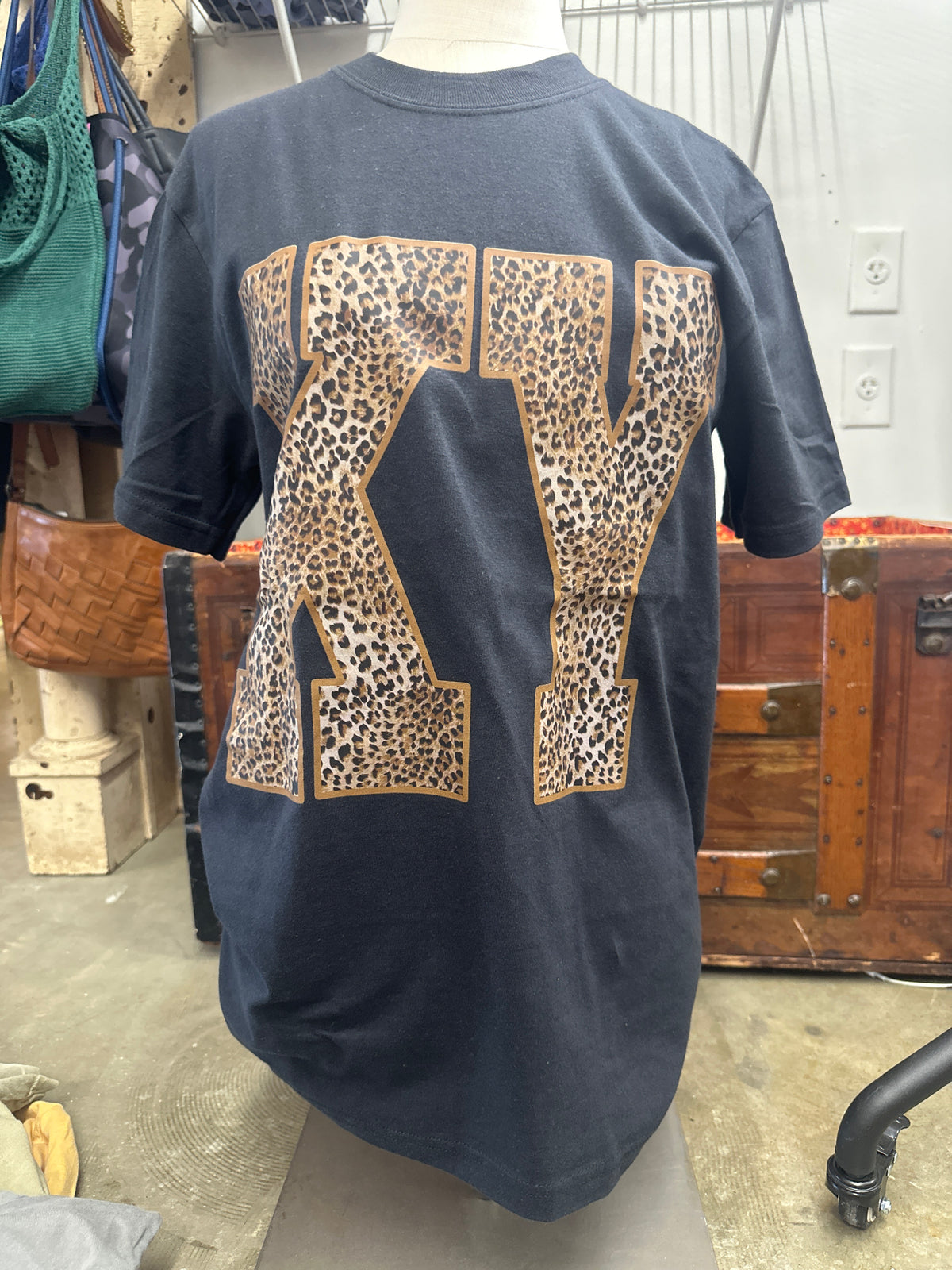 Ky cheetah