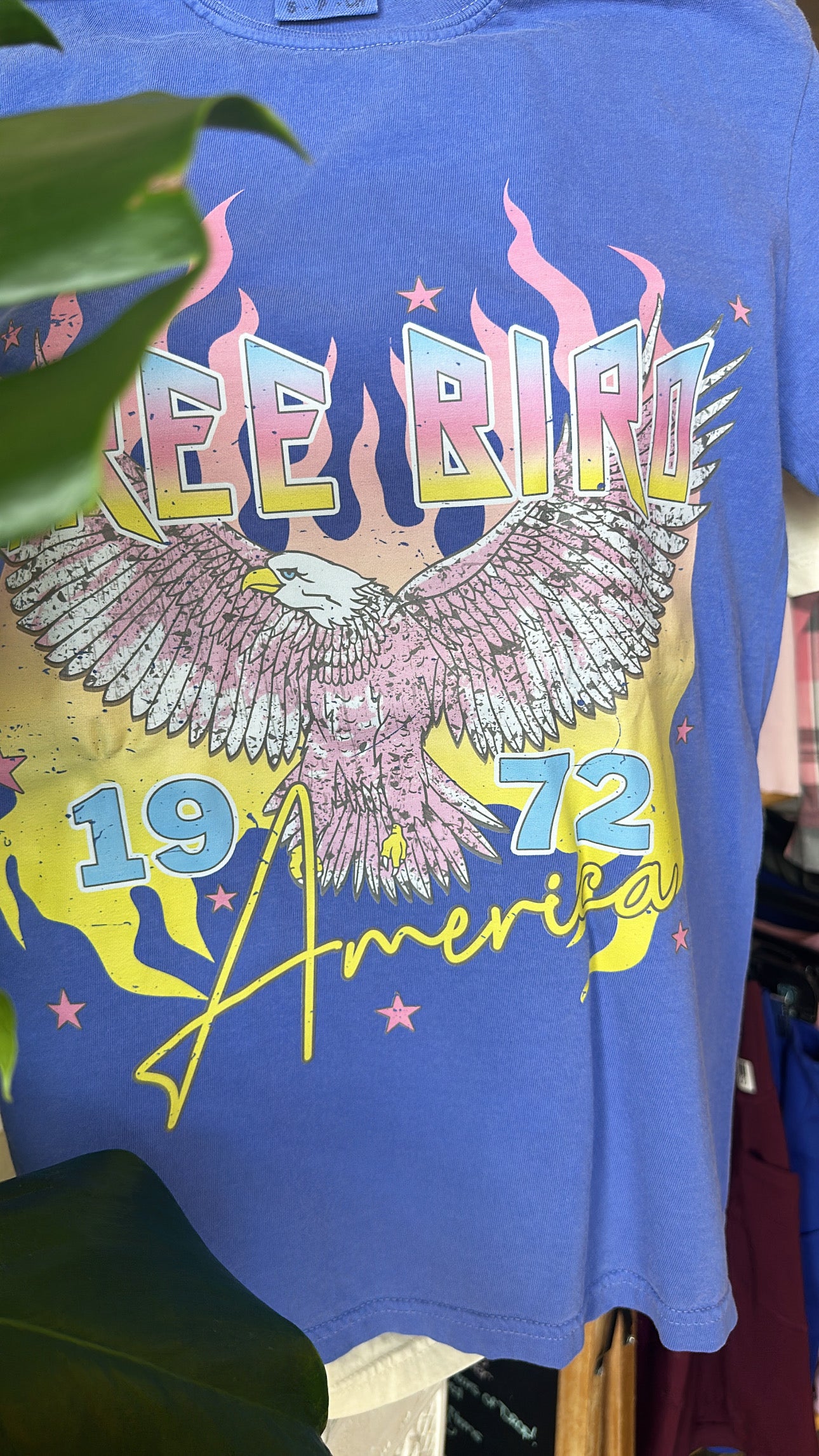 Free bird 1972